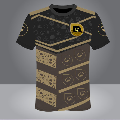 Dojo Display Tshrit